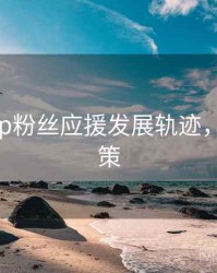 杏吧app粉丝应援发展轨迹，助你决策
