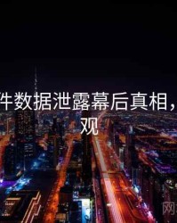 91大事件数据泄露幕后真相，欢迎围观