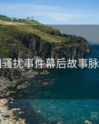 91官网骚扰事件幕后故事脉络揭秘