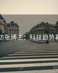 91网专访张博主：科技趋势幕后故事