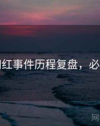 吃瓜网红事件历程复盘，必看指南